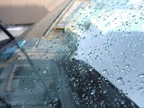 �t�����g�K���X����(�͂�����)�R�[�g